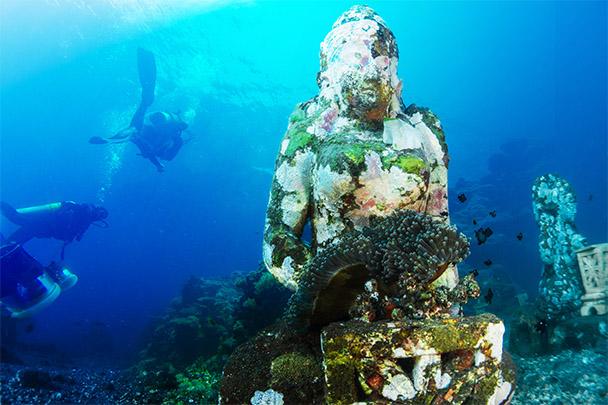 Reasons to try scuba diving holidays for beginners in Bali