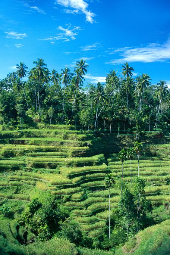 Weekend in Bali, which deserved destination to visit for short vacations?
