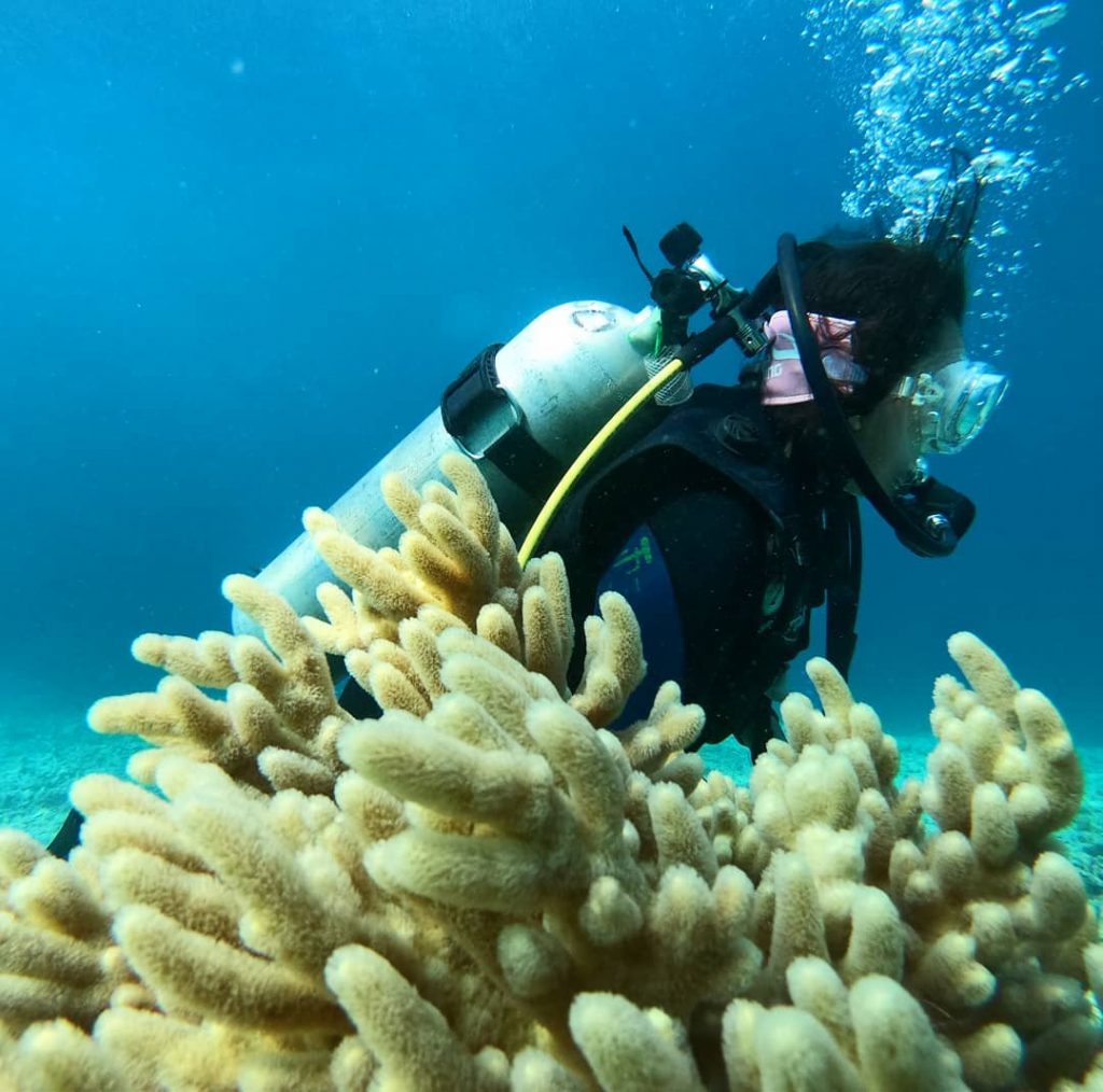 Scuba Diving Holidays Destination for Beginners to Try in 2021