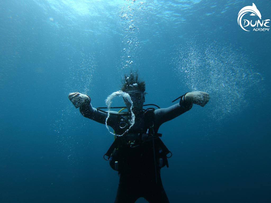 Diving for Beginners- Becoming A Sustainable Divers