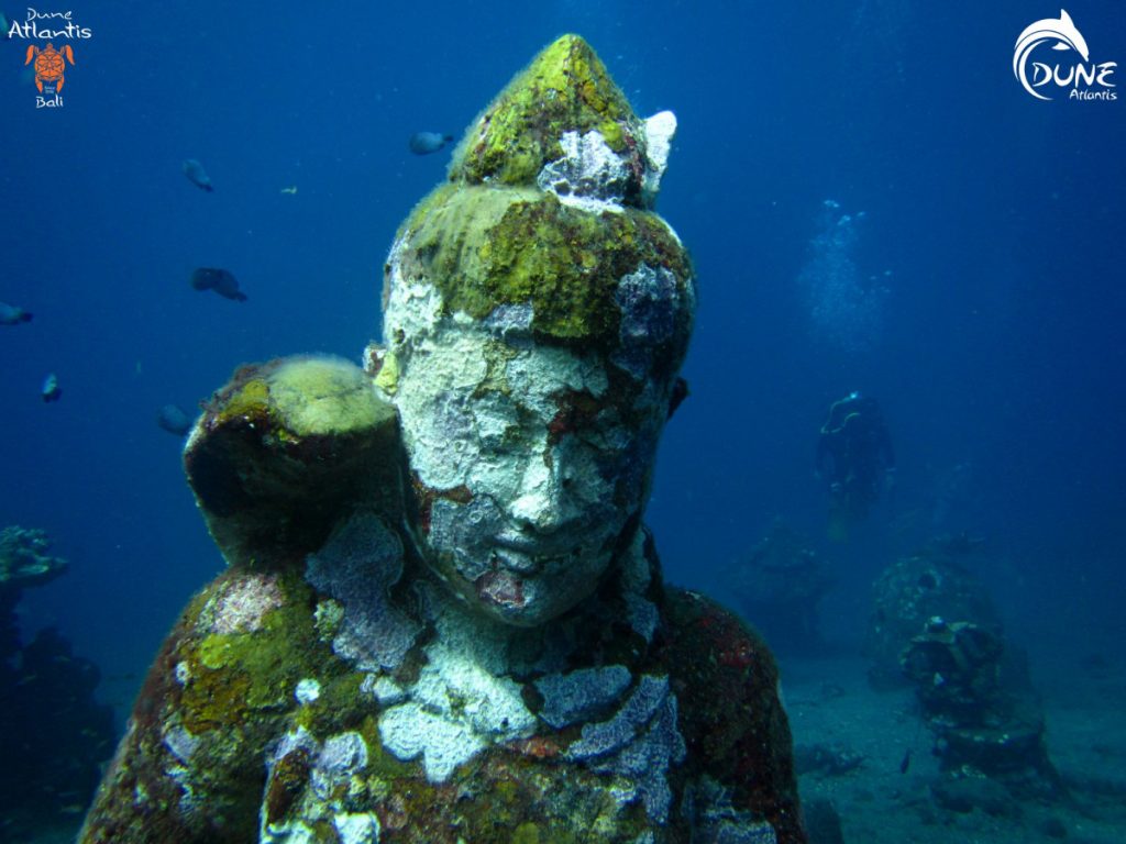 5 Tips to Choose Bali Diving Spots for Next Vacation