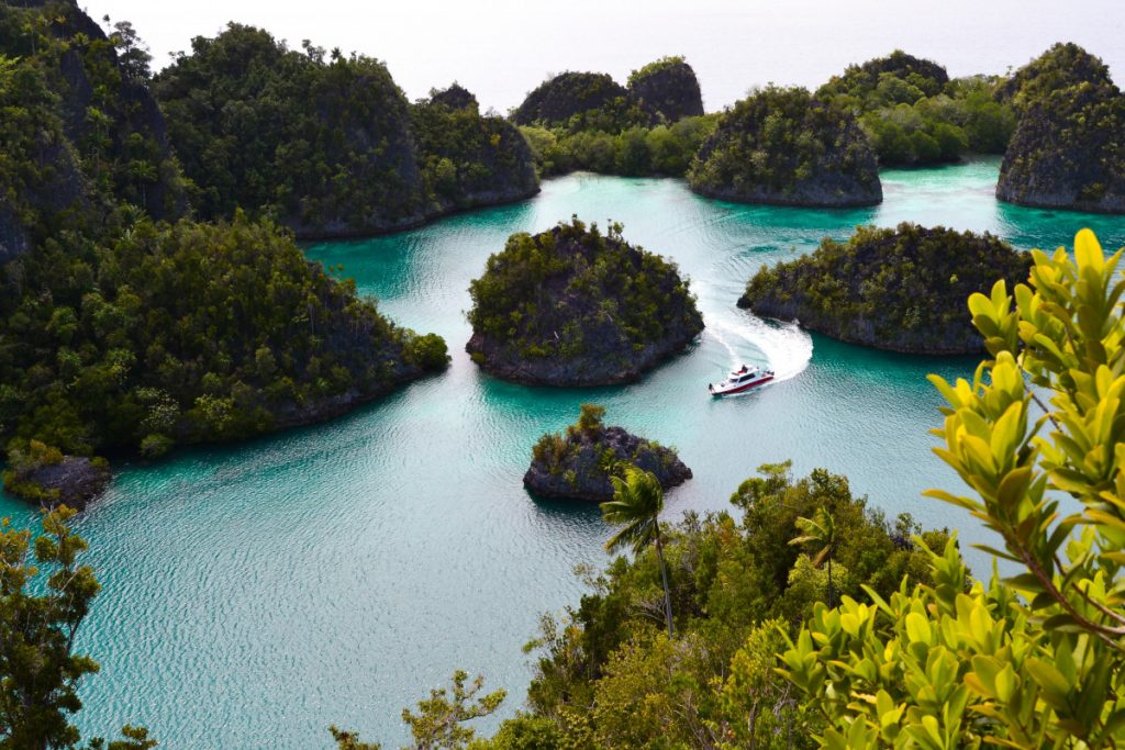 exploring the beauty of papua with raja ampat liveaboard