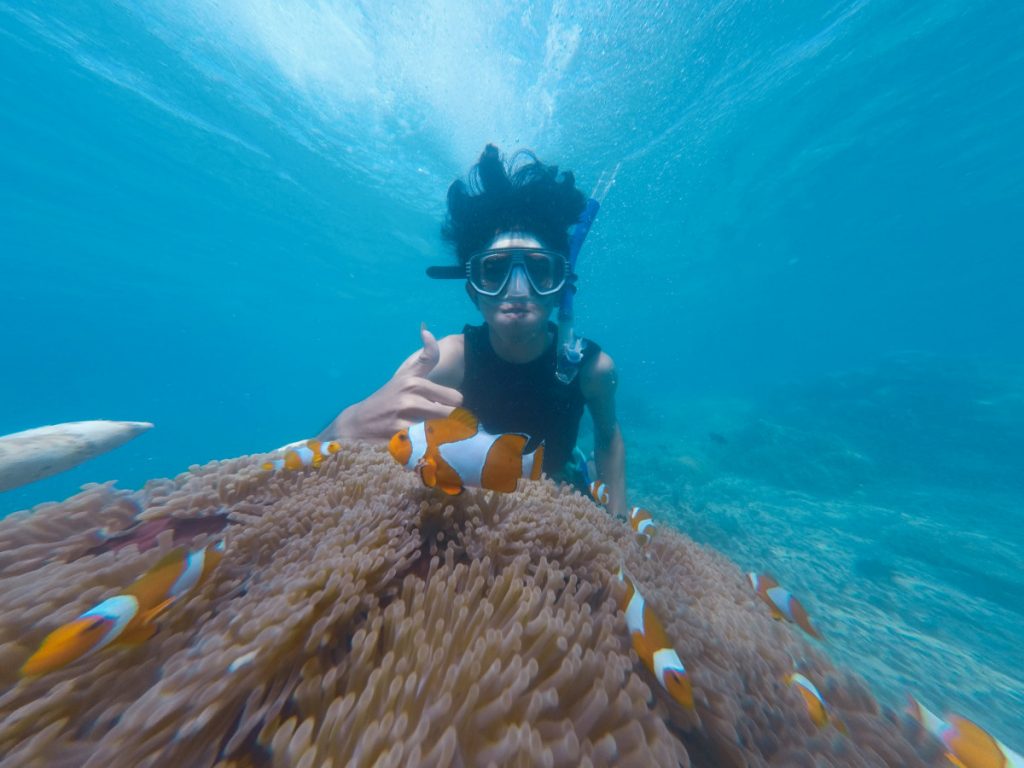 snorkeling in raja ampat