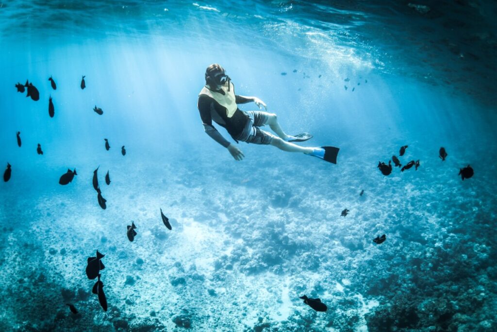 Snorkelling into the deep ocean, seeing the diversity underwater on your journey. Stay at the best resort in Bali.