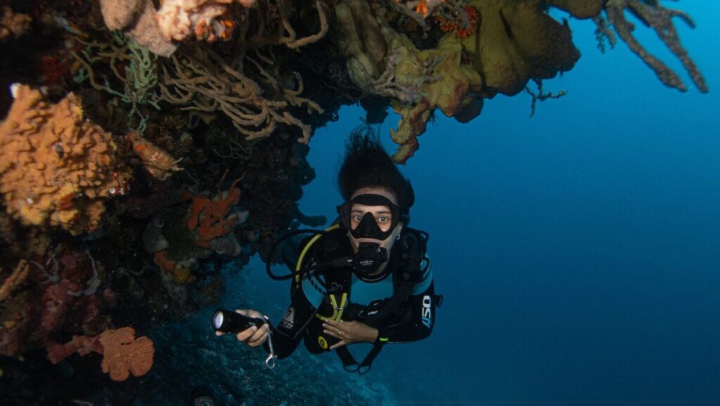 Diving and Jakare Liveaboard